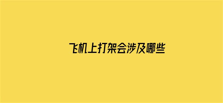 飞机上打架会涉及哪些法律责任